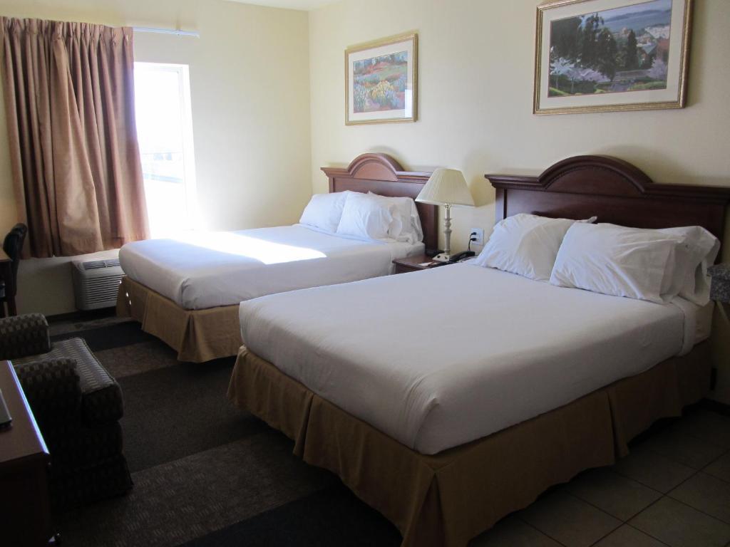 Reddy Hotel Plainview Номер фото